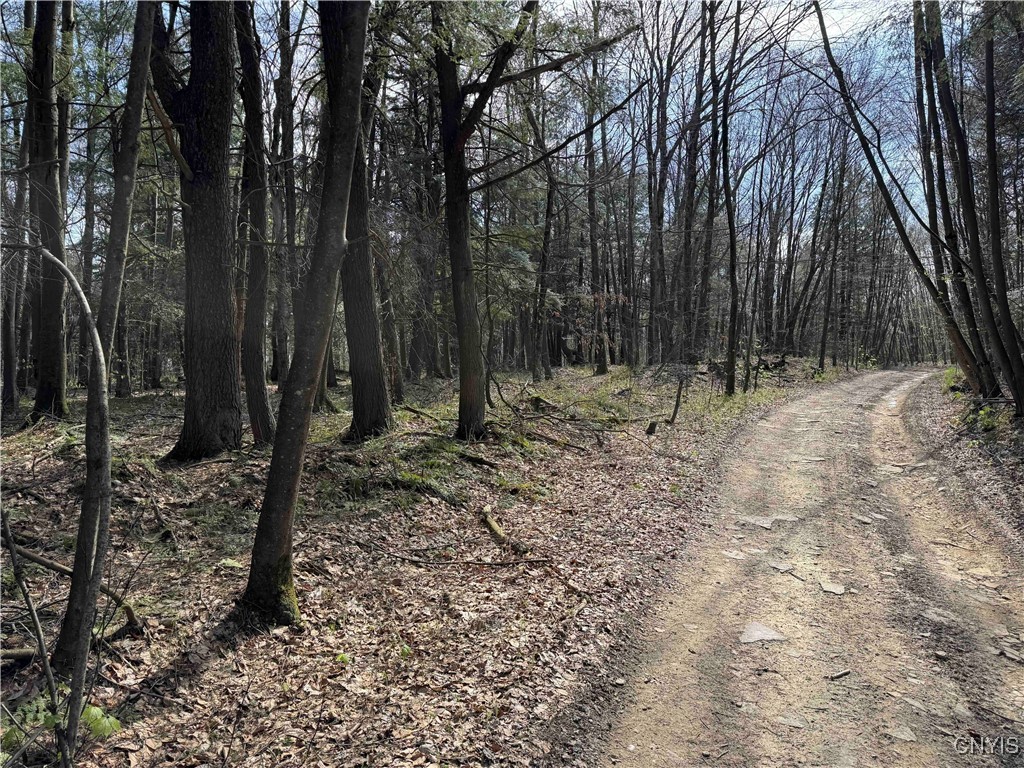 1110 Little Loop Road, Portville, New York image 38