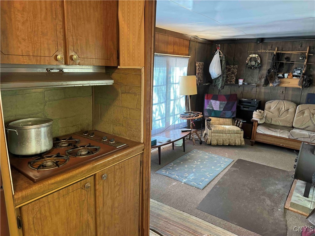 1110 Little Loop Road, Portville, New York image 16
