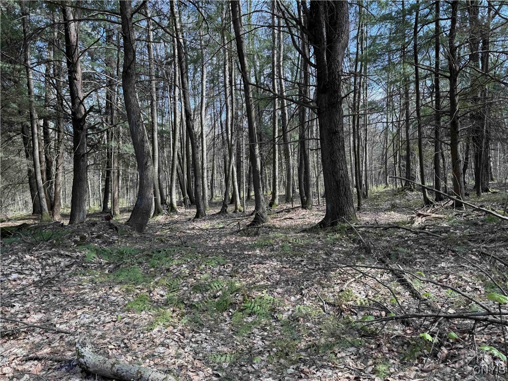 1110 Little Loop Road, Portville, New York image 37