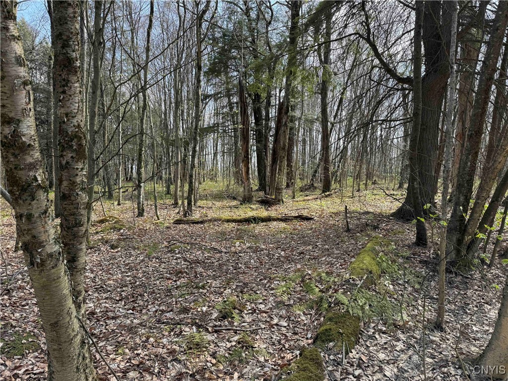 1110 Little Loop Road, Portville, New York image 40