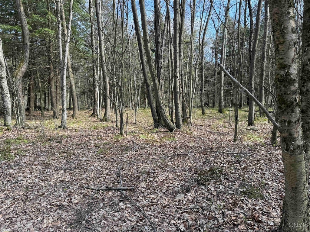 1110 Little Loop Road, Portville, New York image 39
