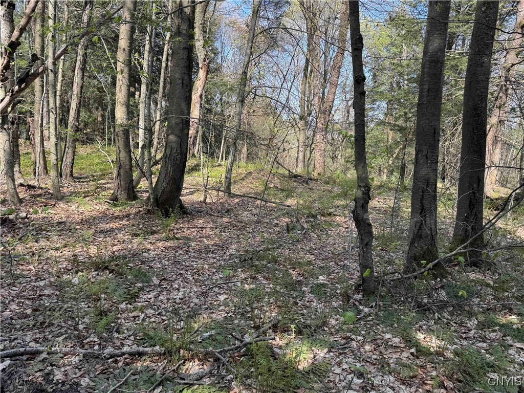 1110 Little Loop Road, Portville, New York image 33