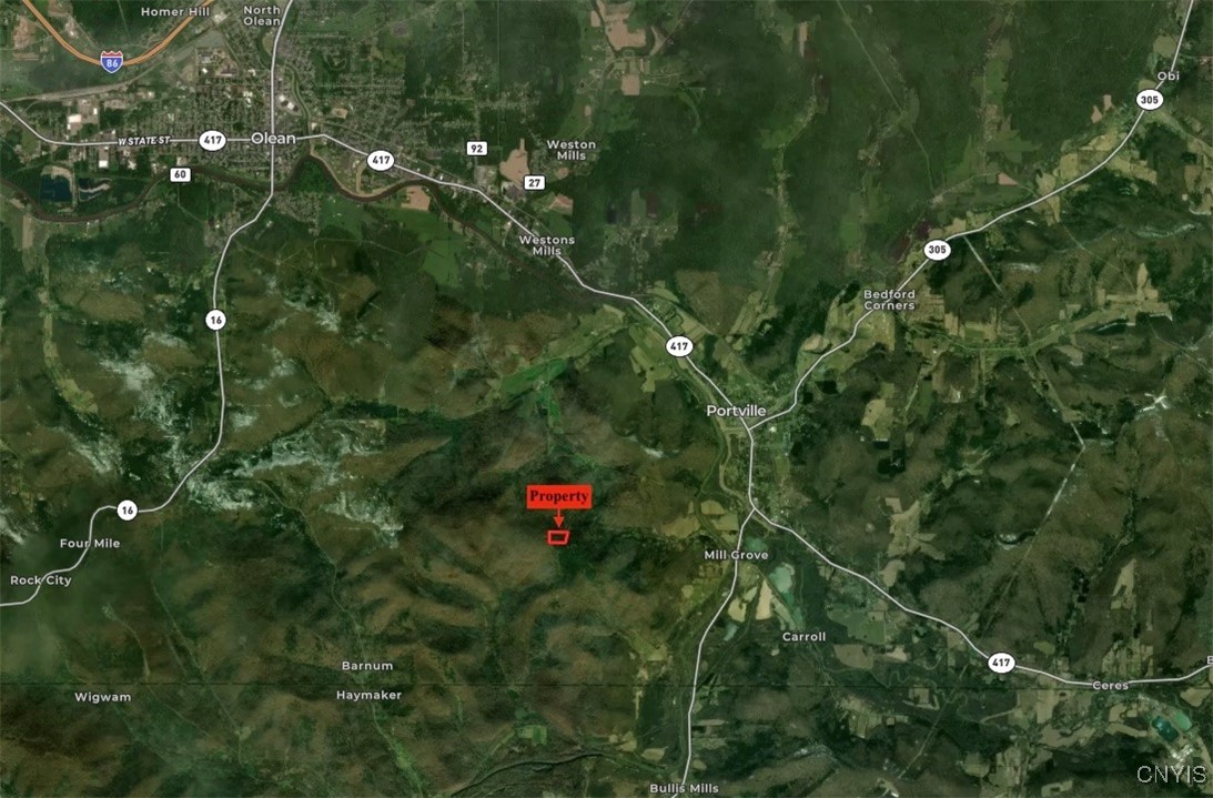 1110 Little Loop Road, Portville, New York image 44