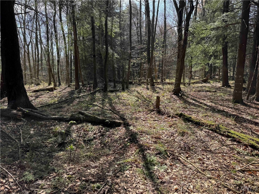 1110 Little Loop Road, Portville, New York image 36
