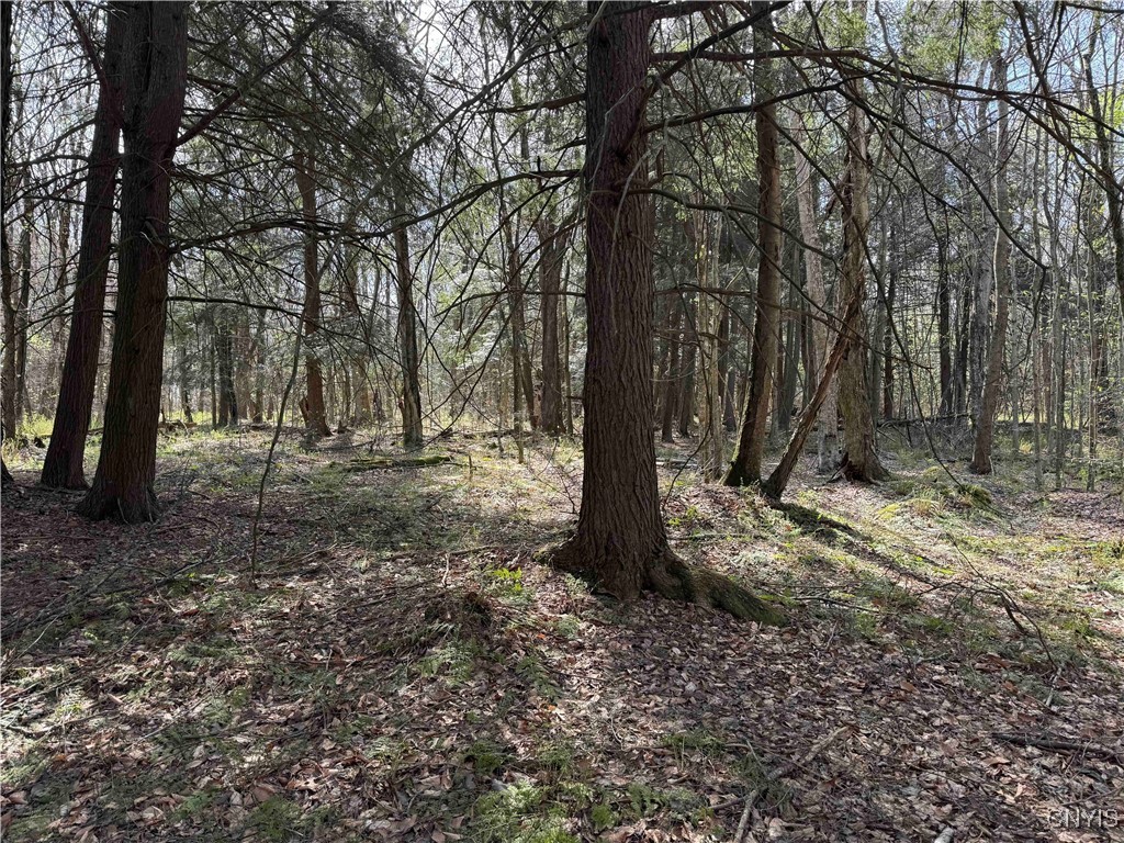 1110 Little Loop Road, Portville, New York image 32