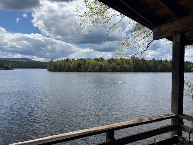 247 Maple Lodge Road, Indian Lake, New York image 4