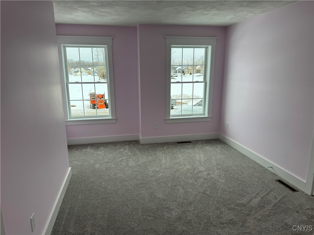 8531 Angus Path, Cicero, New York image 48