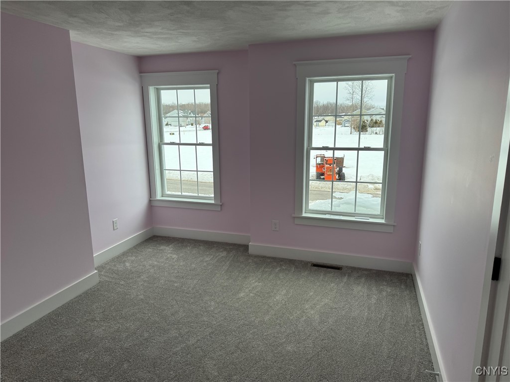 8531 Angus Path, Cicero, New York image 49