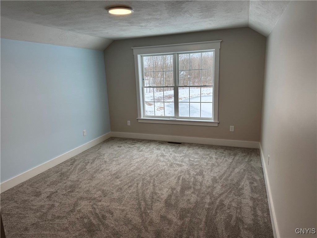 8531 Angus Path, Cicero, New York image 46
