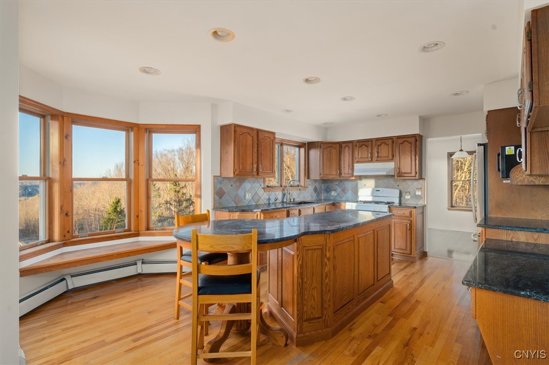 7313 Bonney Acres, Madison, New York image 19