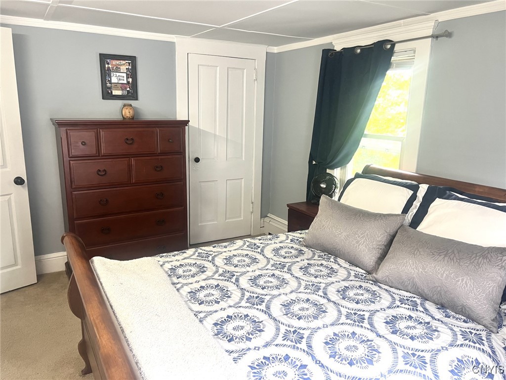 44 Alvena Avenue, Cortland, New York image 12
