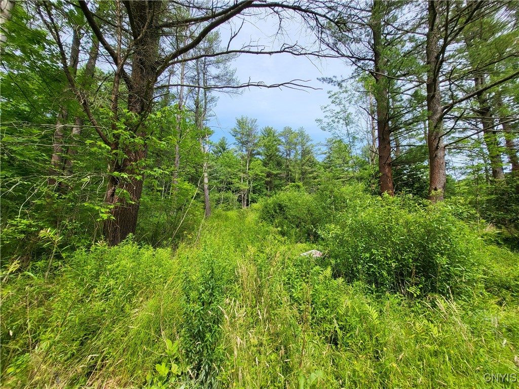 Midline Road, Dryden, New York image 1