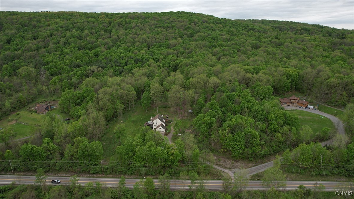 3485 Oran Delphi Road, Pompey, New York image 48