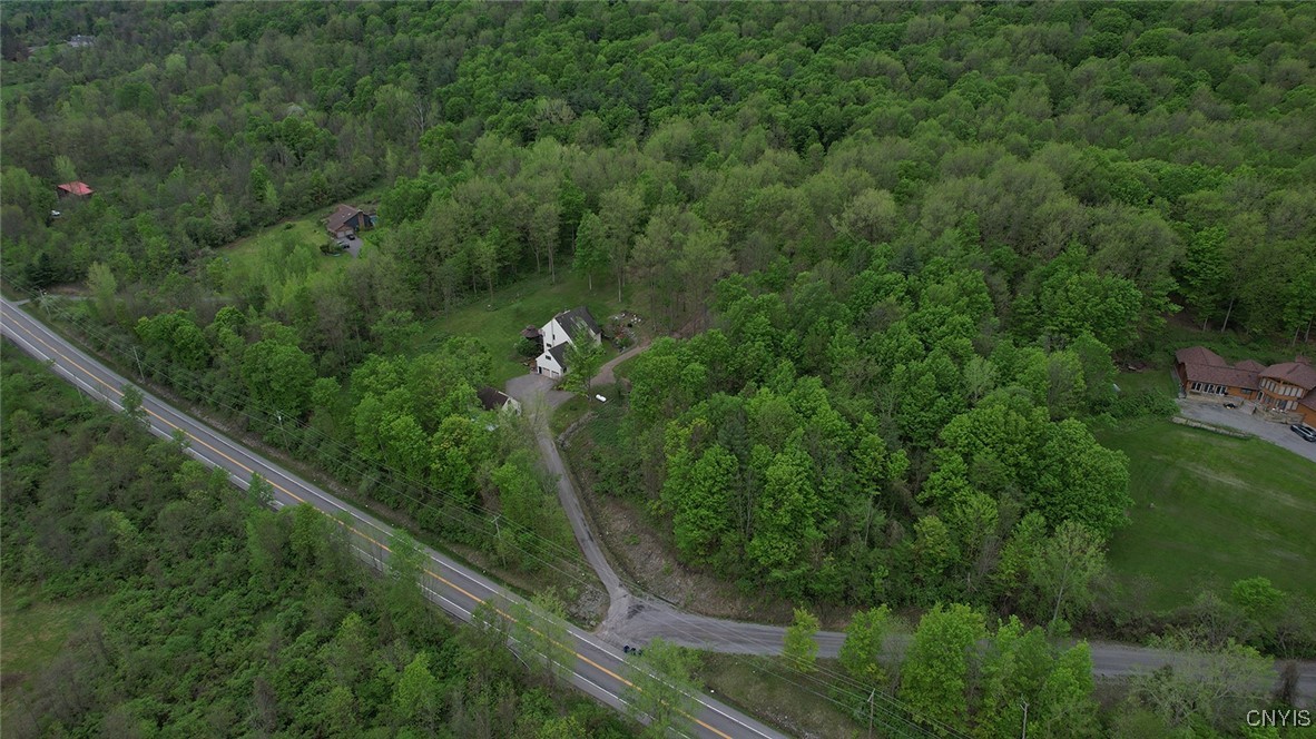 3485 Oran Delphi Road, Pompey, New York image 47