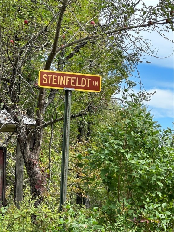 Steinfeldt Lane