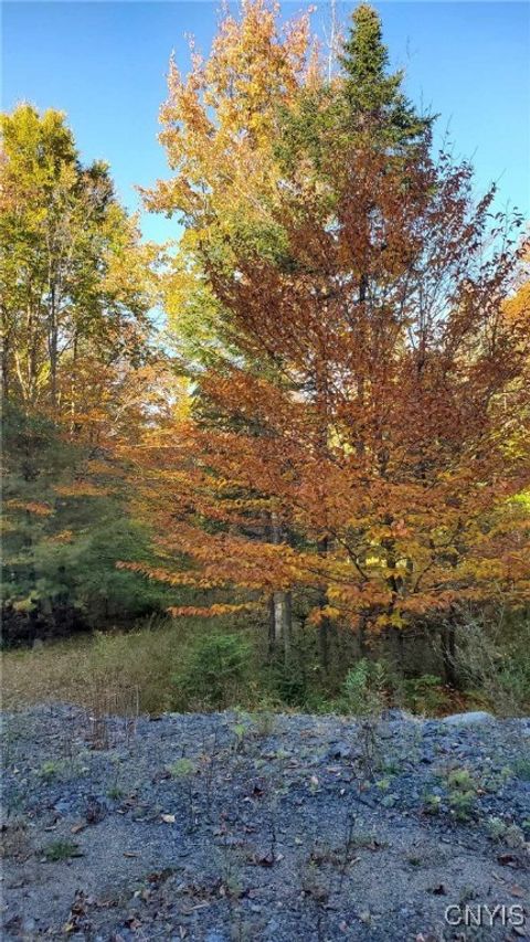 Vacant Land For Sale - Steinfeldt Lane<br/> Long Lake, NY 12847