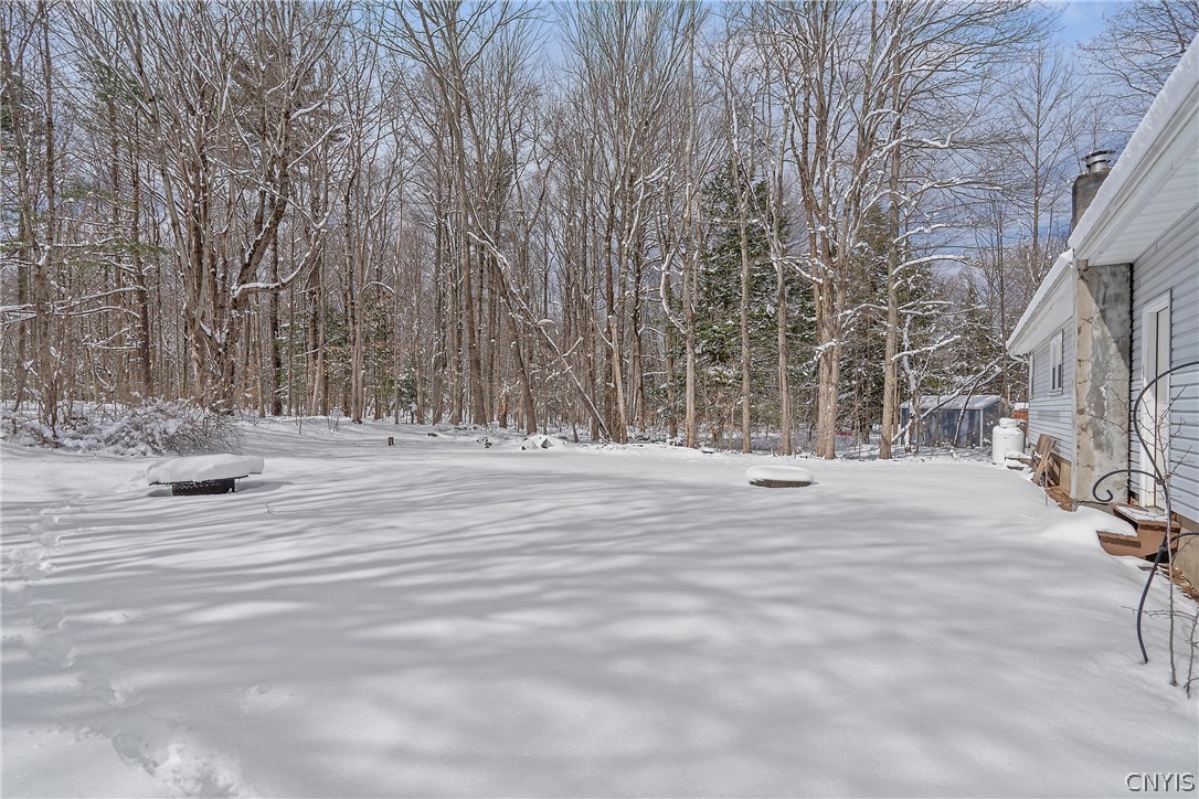 917 County Route 10