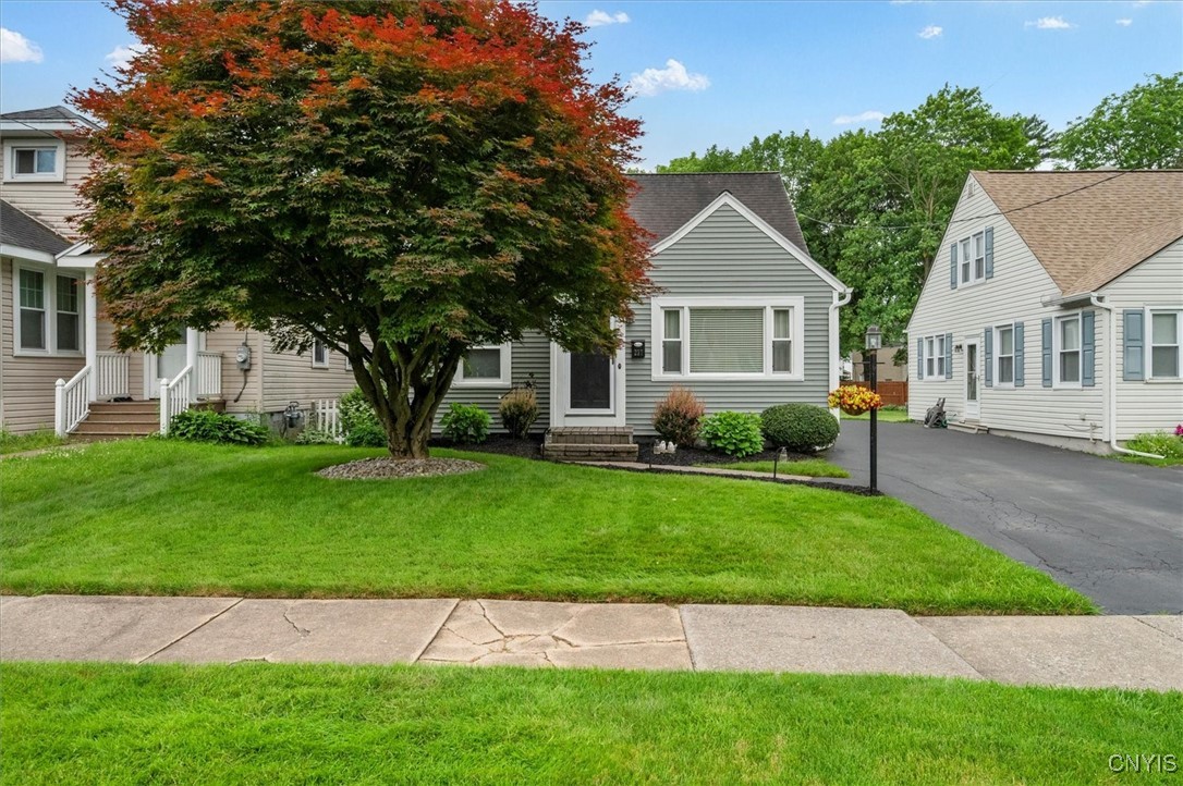 237 Thieme Place