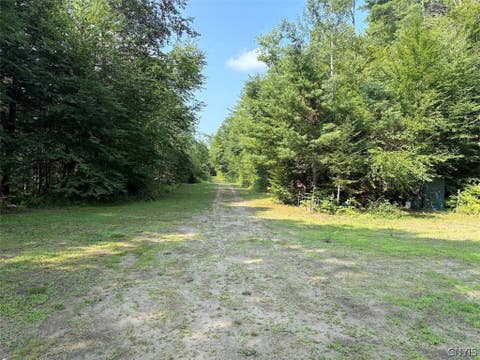 Tiny photo for 00 State Route 29 ST, Salisbury, NY 13329 (MLS # S1702397)