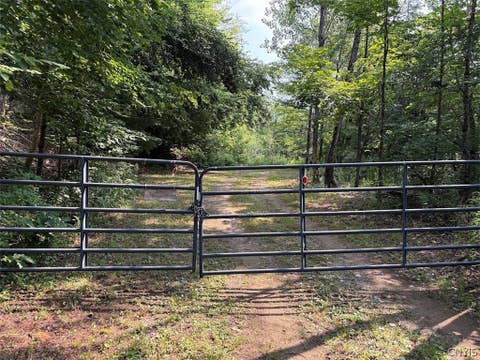 Tiny photo for 00 State Route 29 ST, Salisbury, NY 13329 (MLS # S1702397)