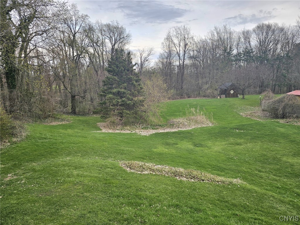 5660 Hamilton Road, Elbridge, New York image 6