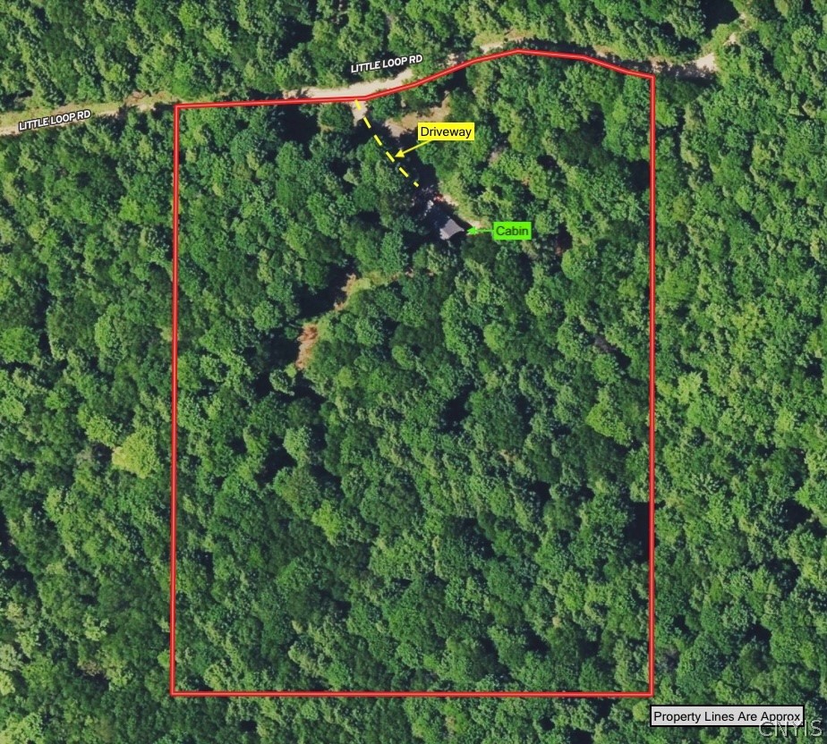 1209 Little Loop Road