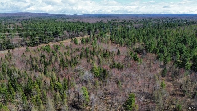 152 River Road, Edwards, New York image 25