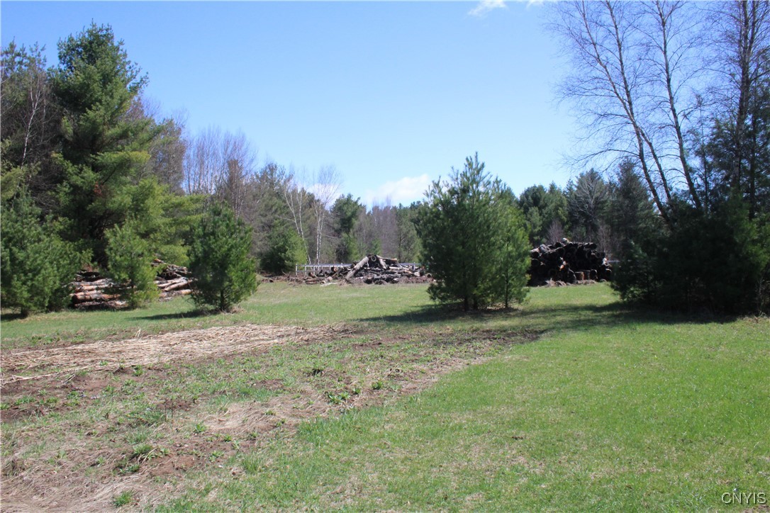 152 River Road, Edwards, New York image 6