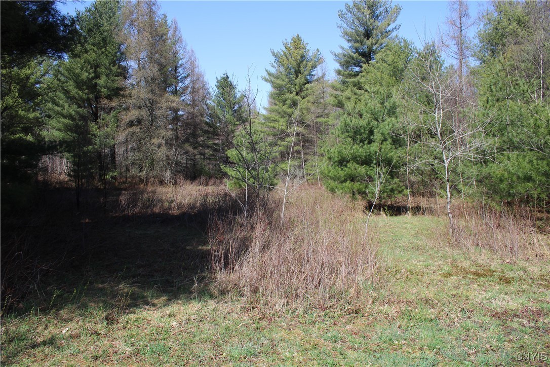 152 River Road, Edwards, New York image 9