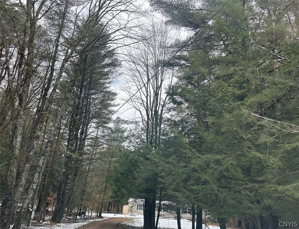 1085 County Route 17