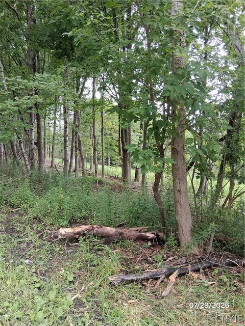 Tiny photo for 92 Skye Island Drive, Union, NY 13760 (MLS # S1702061)