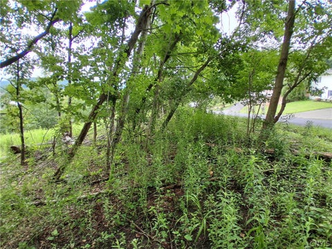 Tiny photo for 92 Skye Island Drive, Union, NY 13760 (MLS # S1702061)