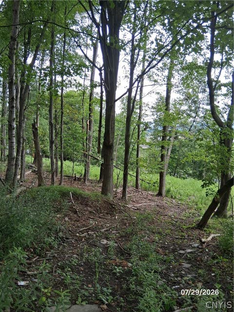 Tiny photo for 92 Skye Island Drive, Union, NY 13760 (MLS # S1702061)
