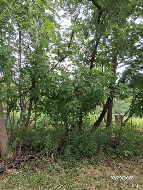 Tiny photo for 92 Skye Island Drive, Union, NY 13760 (MLS # S1702061)