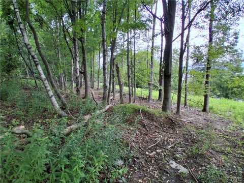 Photo of 92 Skye Island Drive, Union, NY 13760 (MLS # S1702061)
