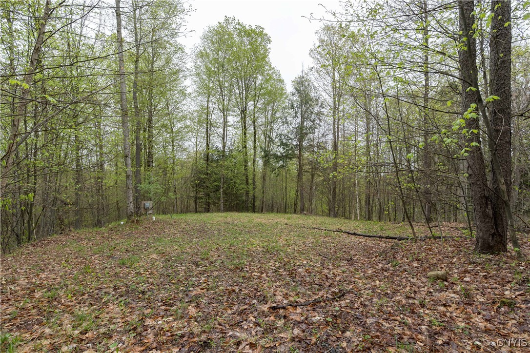 4891 Kirch Hill Road, Greig, New York image 37