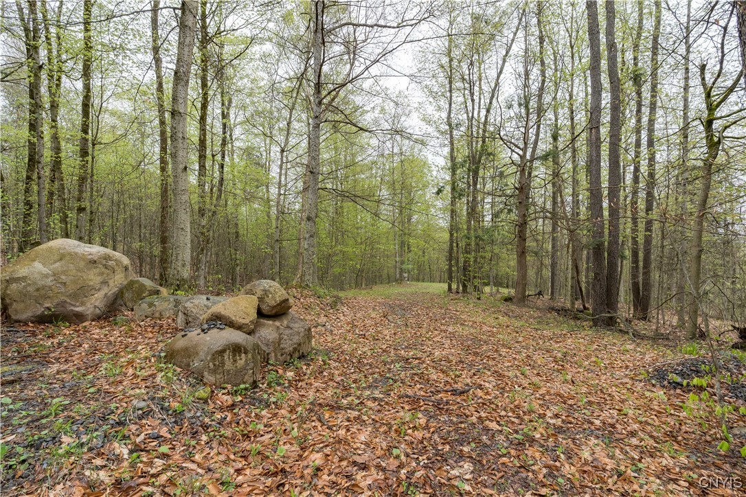 4891 Kirch Hill Road, Greig, New York image 36