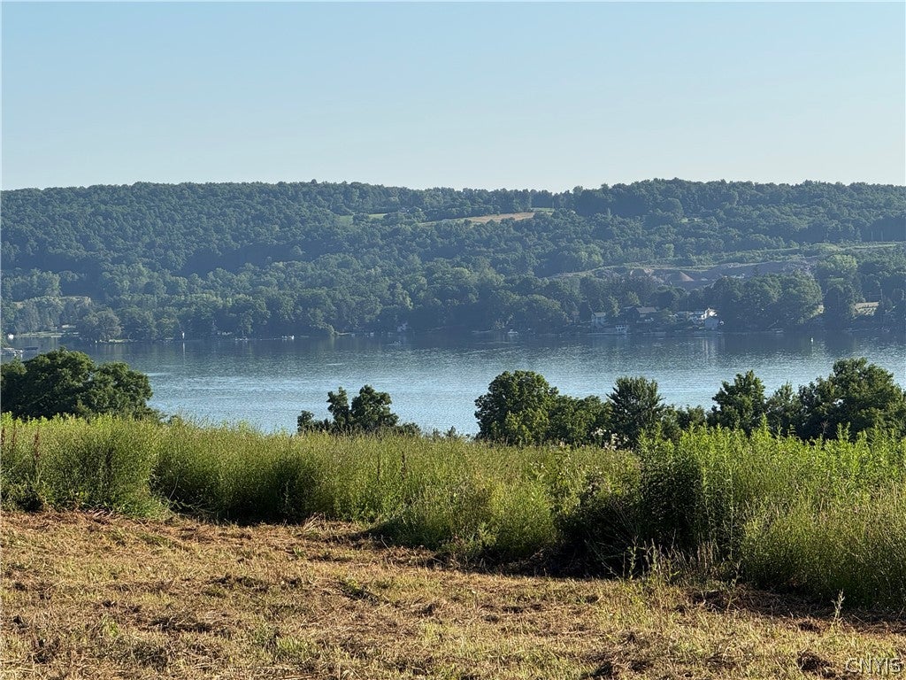 Photo of part of 2299 Glencove Road, Spafford, NY 13110 (MLS # S1697957)