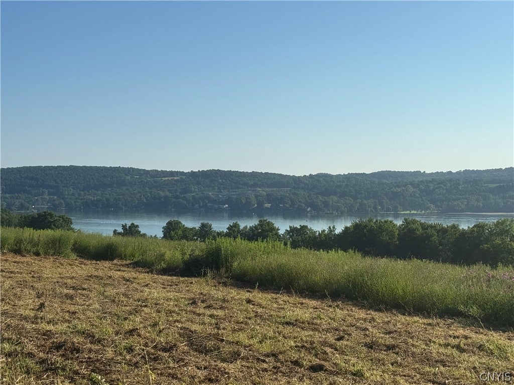 Photo of part of 2299 Glencove Road, Spafford, NY 13110 (MLS # S1697957)