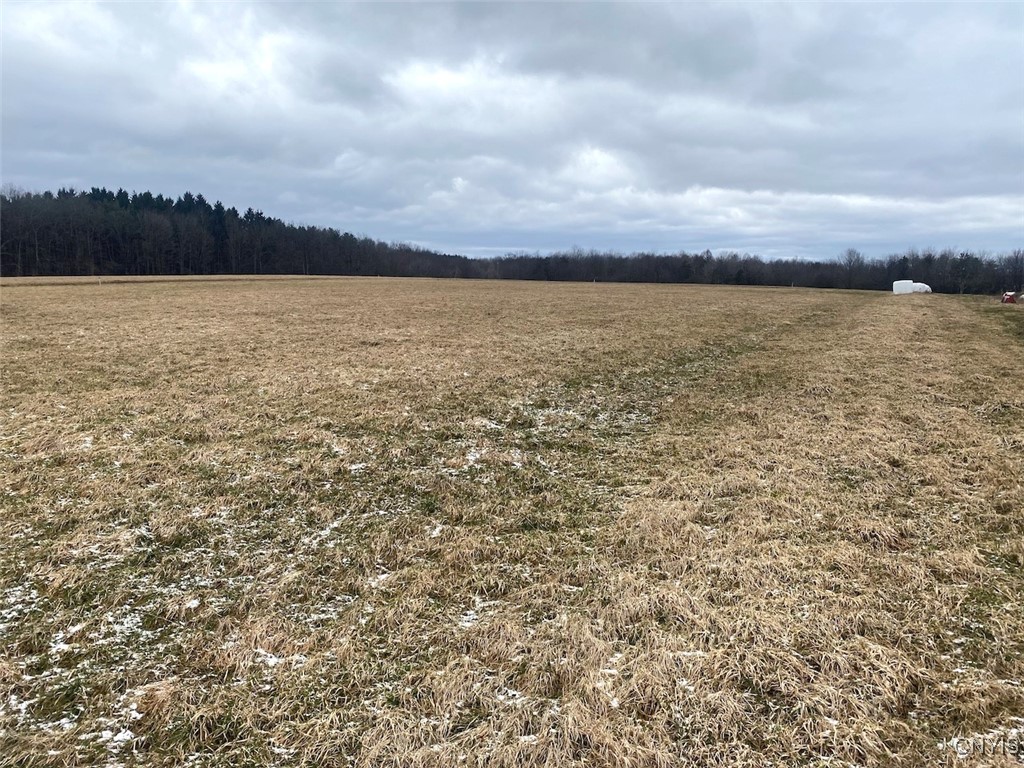 10341 Rushford Road, Centerville, New York image 3