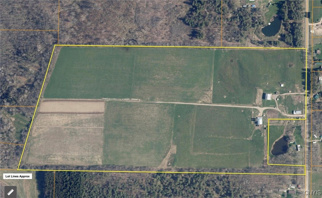 10341 Rushford Road, Centerville, New York image 4
