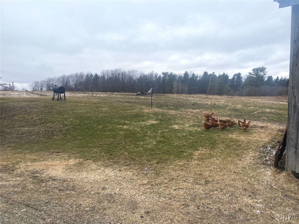 10341 Rushford Road, Centerville, New York image 32