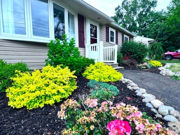 611 Locust Drive