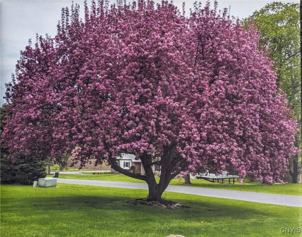 102 Sylvan Street, Elbridge, New York image 27