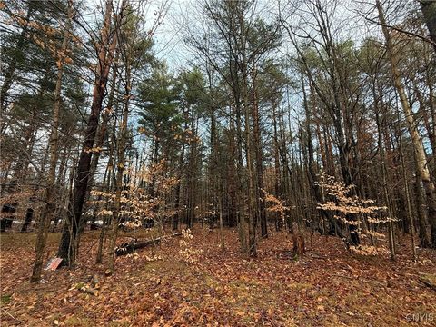 5098 Rugby Road Brantingham NY 13312