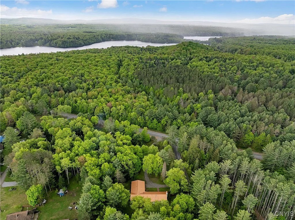 10814 Camp Ground Road, Forestport, New York image 41