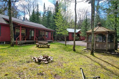 Photo of 333 Green Bridge Road, Old Forge, NY 13420 (MLS # S1604698)