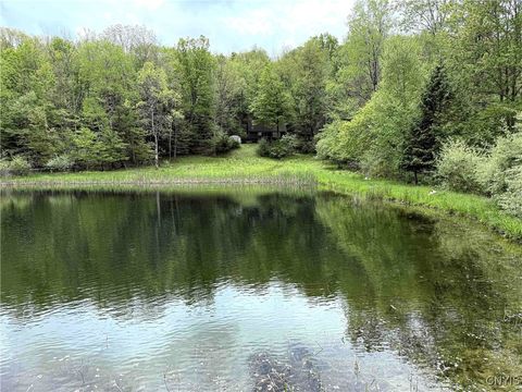 Vacant Land For Sale - 3304 Co Rd 22<br/> Cameron, NY 14820