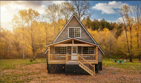 156 Coleman Road Cold Brook NY 13324