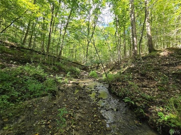 Wiscoy Road Portageville NY 14536